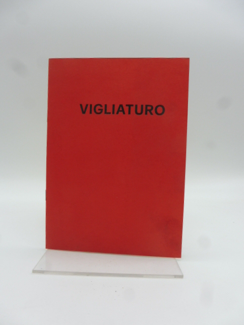 Silvio Vigliaturo. Galleria Accademia Torino, 1992